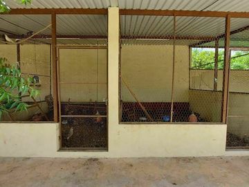 Casa de campo tipo rancho en Paraíso, progreso