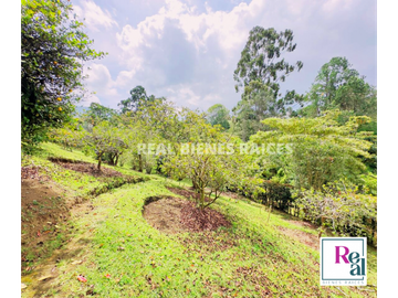 VENTA DE FINCA EN EL CANAD, ENTRE RIONEGRO Y LA CEJA, ANTIOQUIA