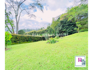 VENTA DE FINCA EN EL CANAD, ENTRE RIONEGRO Y LA CEJA, ANTIOQUIA