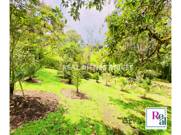 VENTA DE FINCA EN EL CANAD, ENTRE RIONEGRO Y LA CEJA, ANTIOQUIA