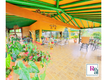 VENTA DE FINCA EN EL CANAD, ENTRE RIONEGRO Y LA CEJA, ANTIOQUIA