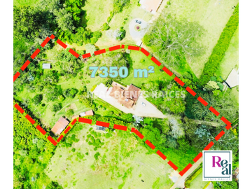 VENTA DE FINCA EN EL CANAD, ENTRE RIONEGRO Y LA CEJA, ANTIOQUIA