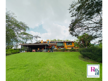 VENTA DE FINCA EN EL CANAD, ENTRE RIONEGRO Y LA CEJA, ANTIOQUIA
