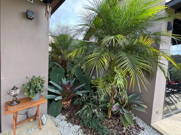 SE VENDE FINCA EN RIONEGRO LLANOGRANDE HILLS VA LA CEJA RIONEGRO