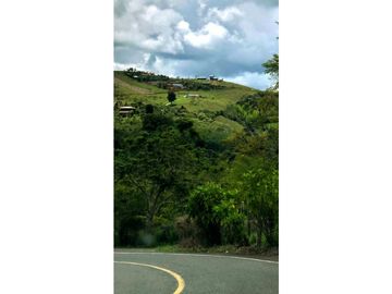 LOTE PUENTE TIERRA, CALIMA MIP- AM CW:8454638