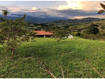 LOTE PUENTE TIERRA, CALIMA MIP- AM CW:8454638