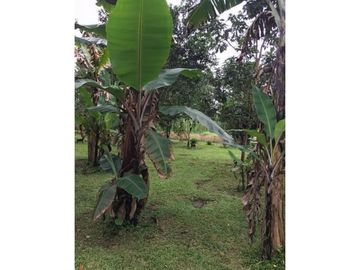 VENDO 1700 mts2 Casa en POTRERILLOS