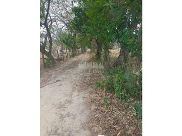 Venta: Terrenos en Cabuya de Chame