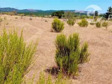 Parcela en Venta en ex-subdelegación Pocillas lote 7