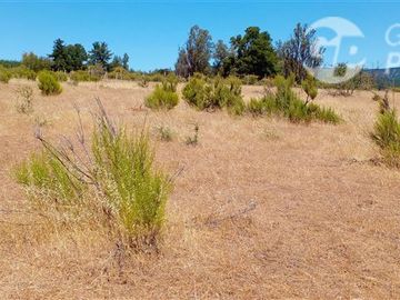 Parcela en Venta en ex-subdelegación Pocillas lote 7
