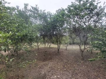 VENTA DE QUINTA EN PUERTO CAYO, MANABI