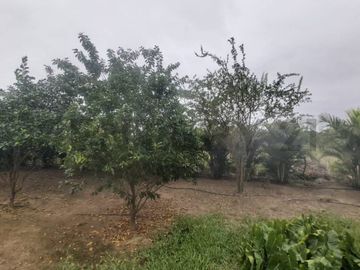 VENTA DE QUINTA EN PUERTO CAYO, MANABI