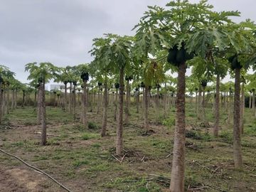 VENTA DE QUINTA EN PUERTO CAYO, MANABI