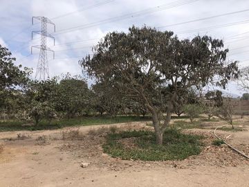 Venta de terreno en Huertos de Villena - Lurín