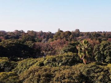Venta Departamento 3 Ambientes con patio y jardín propio- Belgrano Chico