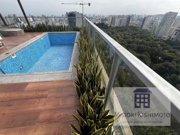 Lindo Flat frente al parque Castilla