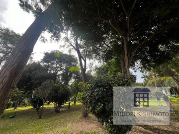 Lindo Flat frente al parque Castilla