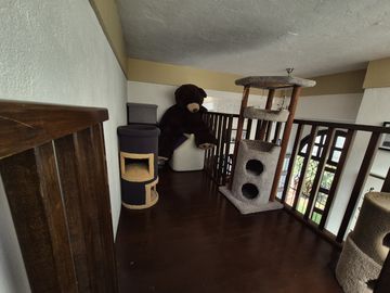 Casa Colonial en venta en Cuauhtémoc, Cuauhtémoc, CDMX.