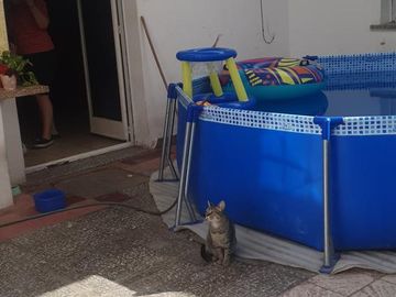 Casa en Trelew