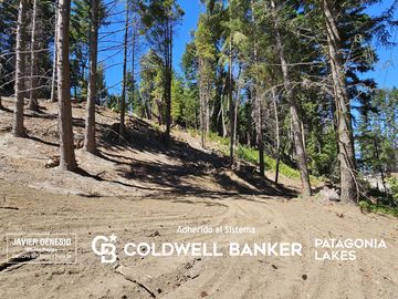 VENTA Lote/terreno 1451,12m2 UF 4 Península Puerto Manzano Villa La Angostura