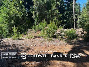 VENTA Lote/terreno 1556,30m2 UF 2 Península Puerto Manzano Villa La Angostura