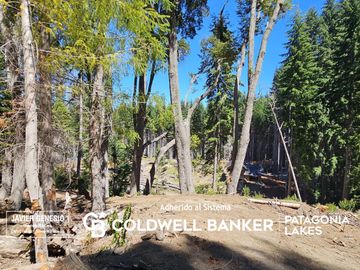VENTA Lote/terreno 1641,64 m2 UF 3 Península Puerto Manzano Villa La Angostura