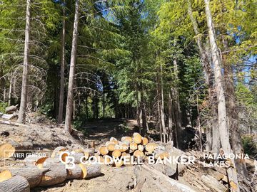 VENTA Lote/terreno 1641,64 m2 UF 3 Península Puerto Manzano Villa La Angostura