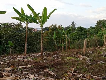 Venta Finca Calarca Quindio COD: 5683331