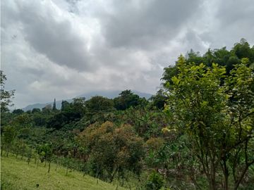 Venta Finca Calarca Quindio COD: 5683331
