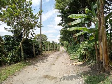 Venta Finca Calarca Quindio COD: 5683331