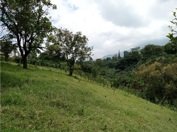 Venta Finca Calarca Quindio COD: 5683331
