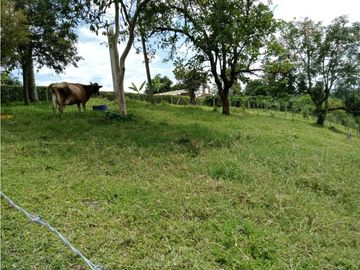 Venta Finca Calarca Quindio COD: 5683331