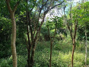 Terreno en Venta en Ticopó, Acanceh, Yucatán - HI2501340