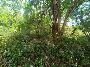 Terreno en Venta en Ticopó, Acanceh, Yucatán - HI2501340