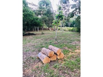 Duplex Villa Tucan - Privacidad en las afueras de Tarapoto
