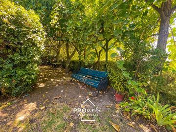 Casa en Venta en CONSISTORIAL / EL EMBALSE