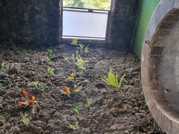 Casa en Fraccionamiento Lomas de Cuernavaca