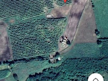 RANCHO DE 100 HECTÁREAS EN BACALAR