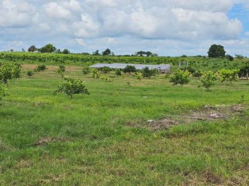 RANCHO DE 100 HECTÁREAS EN BACALAR