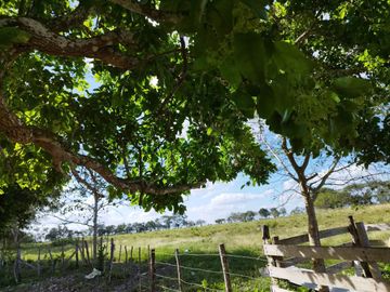 RANCHO DE 100 HECTÁREAS EN BACALAR