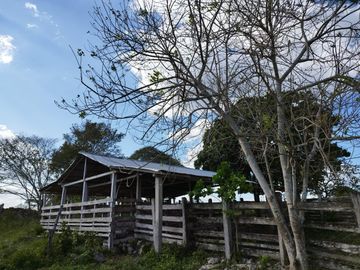 RANCHO DE 100 HECTÁREAS EN BACALAR