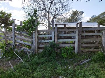RANCHO DE 100 HECTÁREAS EN BACALAR