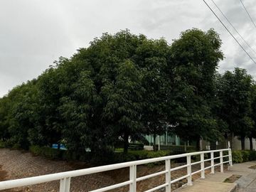 CASA EN VENTA EN CONDOMINIO Q CAMPESTRE AL NORPONIENTE DE AGS.