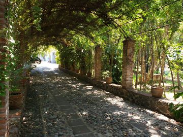 Casa en Fraccionamiento Las Fincas