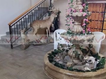 Linares