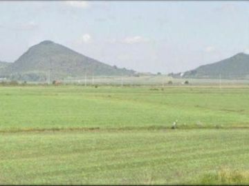 TERRENO EN VENTA EN HIDALGO