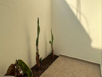 Casa en Fraccionamiento Real del valle, Mazatlán, Sinaloa.