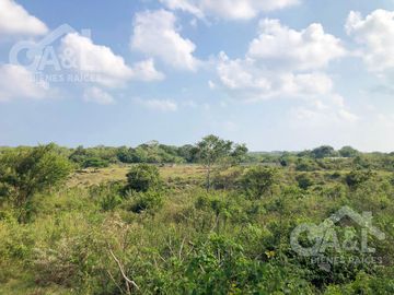 Terreno en Venta Ubicado sobre Carretera en la Antigua Veracruz