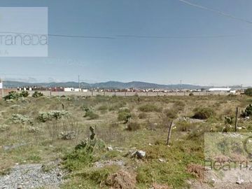Local - Pachuca