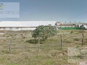 Local - Pachuca